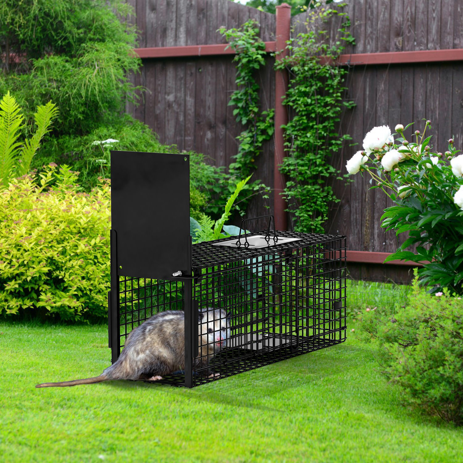 Tucker Murphy Pet™ 26x12x13in Single Door Live Animal Trap with